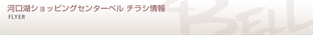 最新のチラシのご案内